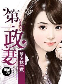 第一政妻(高干宠文)