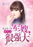 重生之军嫂很强大